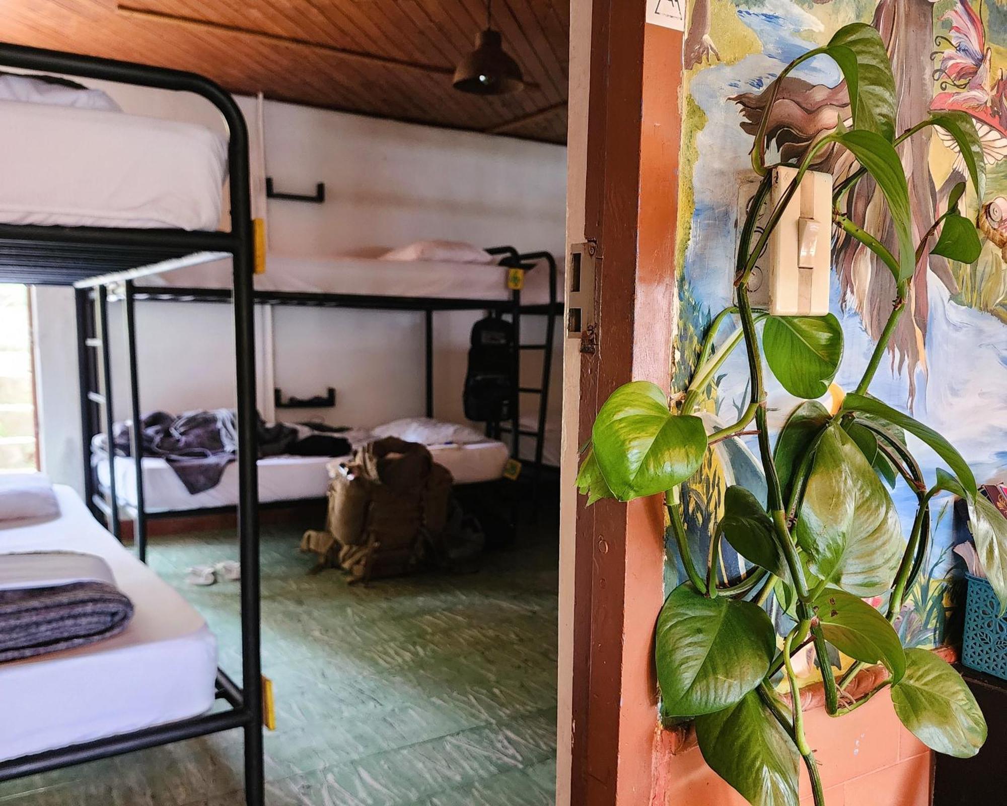 Casa Kayam Art Hostel Coliving Coworking Guatapé Buitenkant foto